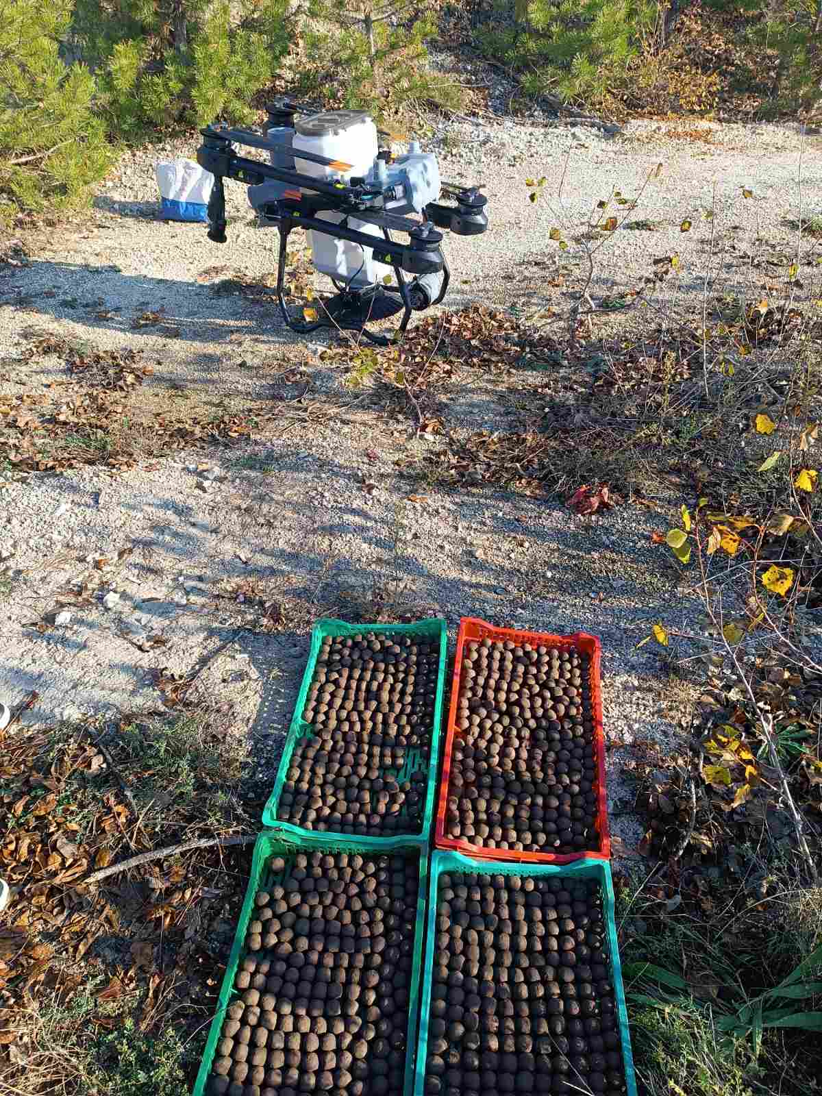 Viber Image 2025 11 21 10 58 49 046